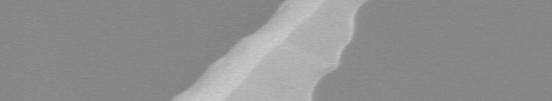 Pitch: 200 µm Nano tip Height: 10
