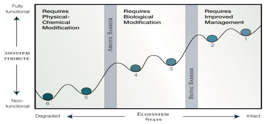 Restoration Process of restoration needs to be defined in a better way (see conceptual model