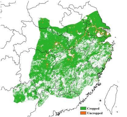 In late May and June, crop condition in the south of the region (in particular in northeast Guangxi, northern Guangdong, and most parts of Fujian