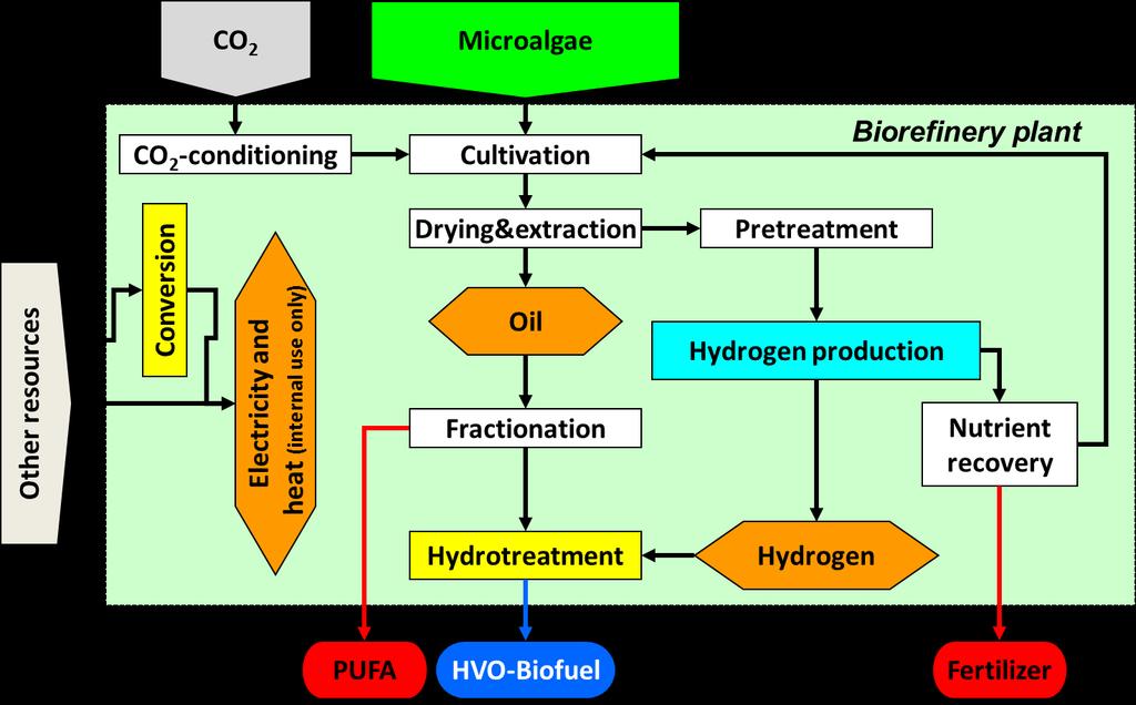 Part A: Biorefinery Plant -