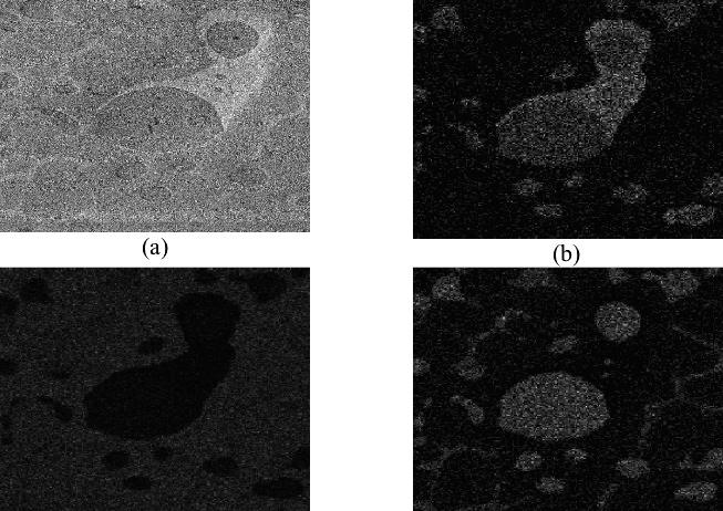 Recovery of Iron-Molybdenum Alloy from Copper Slags Figure 8: SEM Analysis of iron alloy; (a) image, (b) copper, (c) iron and (d) sulfur The results of removing copper from the iron alloy by using