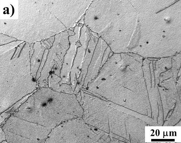 Fig. 2 Microstructures of Mg4Zn (a) and Mg4Zn0.4Ca (b, c) after UC at 240 C with the strain rate of 0.001 s -1 to ε = 0.09 and 0.3, respectively (LM, SEM).