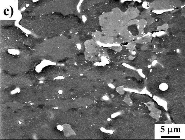A mix of fine and coarse grains formed bimodal structures where the recrystallized grains were concentrated along the original boundaries.