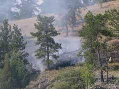 18 Protect your property from wildfire IMPORTANCE OF TOPOGRAPHY The topography around your home or business, which includes the slope of the land and the direction the structure faces, is a major