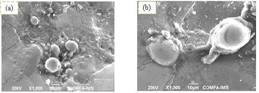 Analysis of surface layers of hot-forging dies of SKD61 steel fabricated by die-sinking electrical Figure 3. Cracks on of the hot-forging die surface (a), Ti electrode (b), Cu electrode. Figure 4.