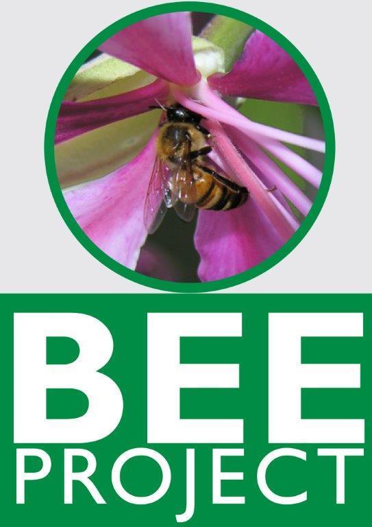 Bee Health & Pollination