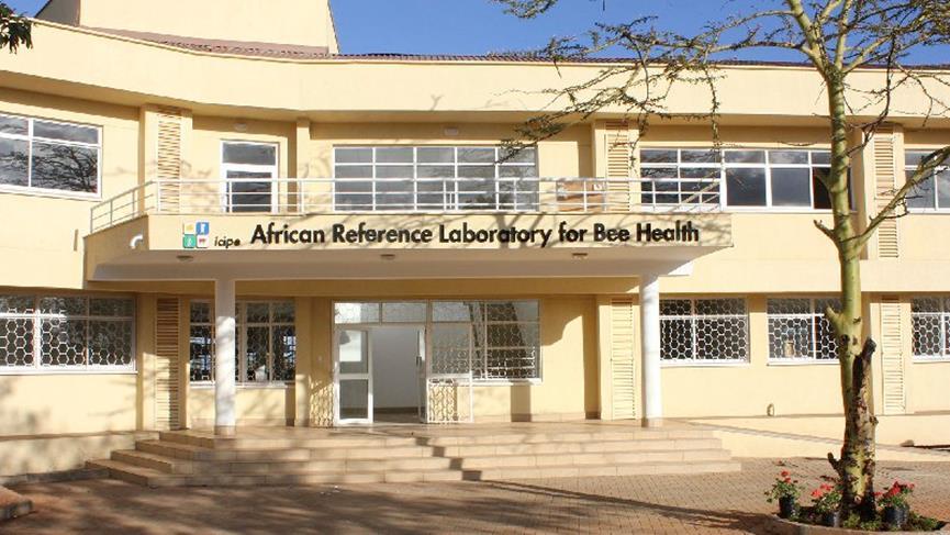 Bee health facilities for