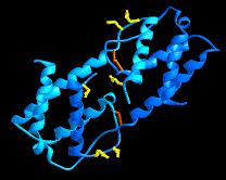 proteins, receptors, antibody targets