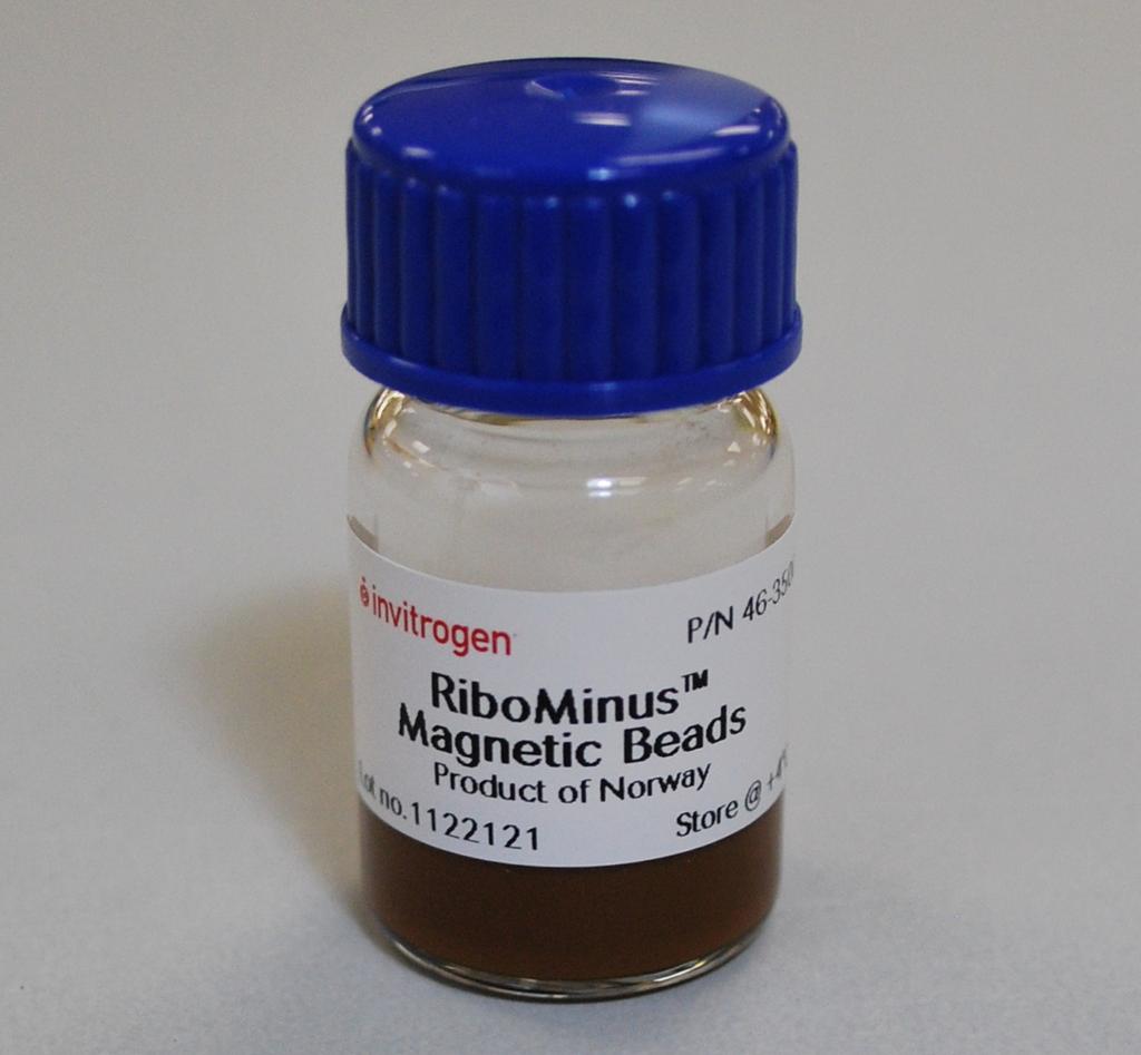 RiboMinus procedure RiboMinus procedure Hybridize RiboMinus Eukaryote Probe Mix v2 and total RNA sample Before you begin: Pre-heat 2X Hybridization Buffer in a 50 C heat block or bath, to bring salts