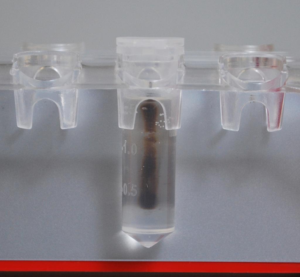 RiboMinus procedure 2. Incubate at room temperature for 5 minutes. If any sample is retained in the cap, centrifuge the tube briefly to collect the contents at the bottom before proceeding. 3.