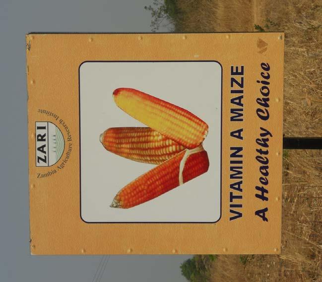 Zambia Pro-Vitamin A