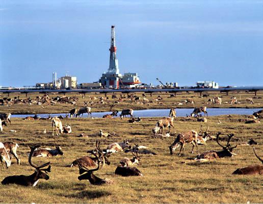 Arctic National Wildlife Refuge 1980