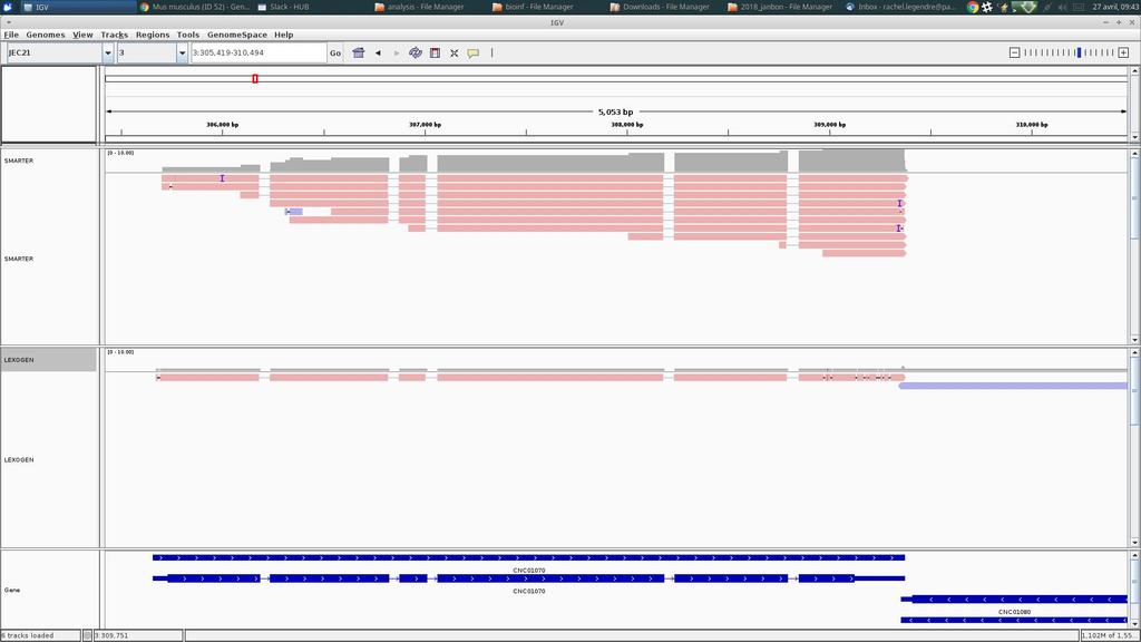 Isoseq3: an example of HQ isoform With Isoseq, we can identify one full-length