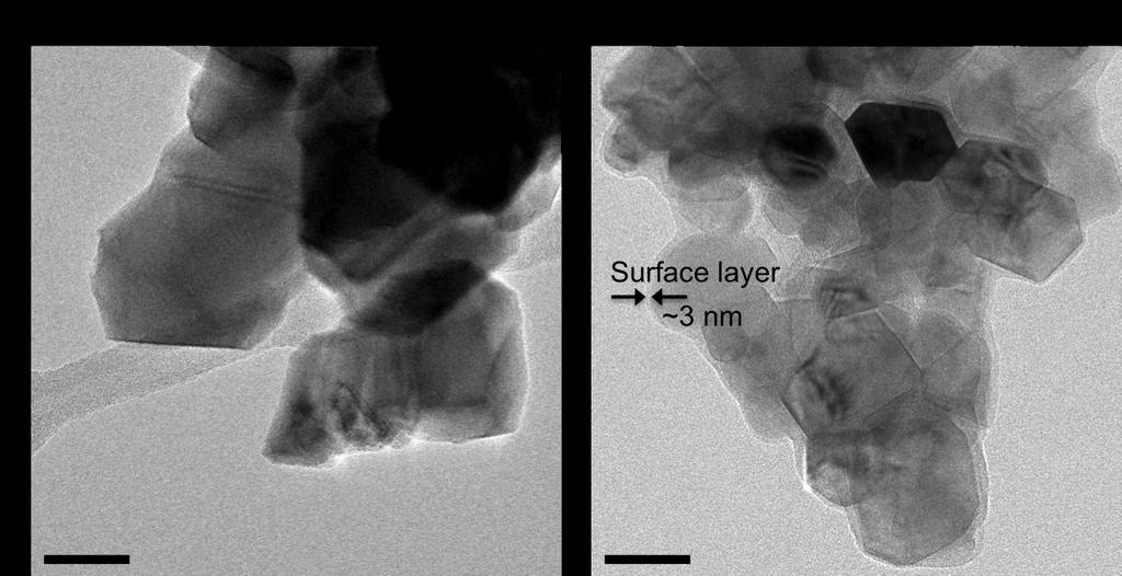 Supplementary Figure 4. Surface morphology change after surface modification.