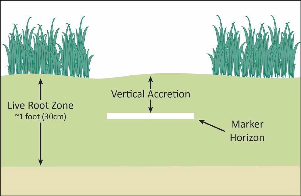 1 m) Surface Change Sub Root Zone Marker Change Horizon Globally standardized method using Rod Surface