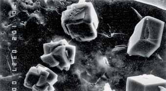 Inside the concrete, Xypex chemicals react with un-hydrated cement particles and the by-products of cement hydration to form a non-soluble crystalline structure deep within the