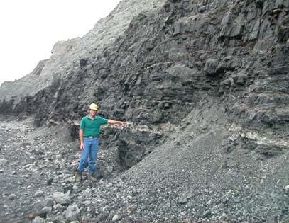 Centralia Power Plant and Coal Mine : Project Objectives 15-m thick Big Dirty seam Evaluate geology and CO 2