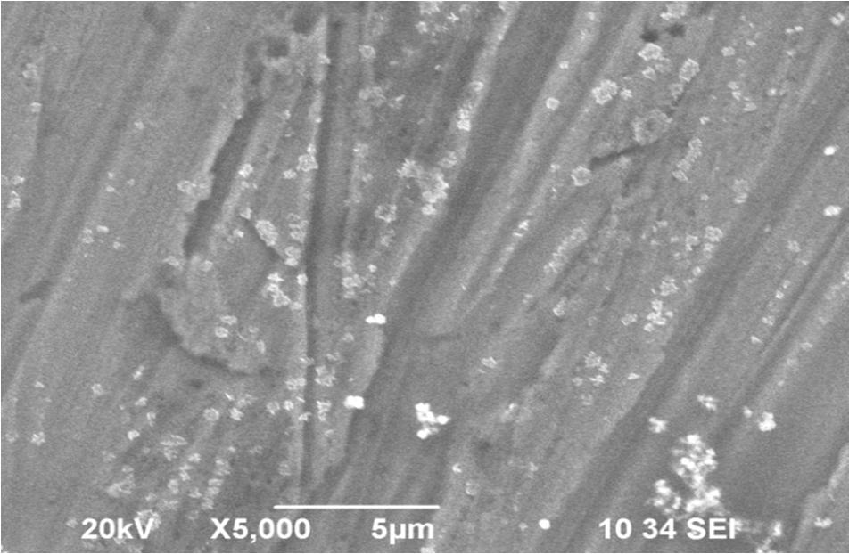 (c) (d) Fig.-2: SEM images of e thin films (a) NiMo (b) NiMoW (c) NiFeAg (d) NiFeP There is no significant microvoid and micro-cracks in all the coated films.