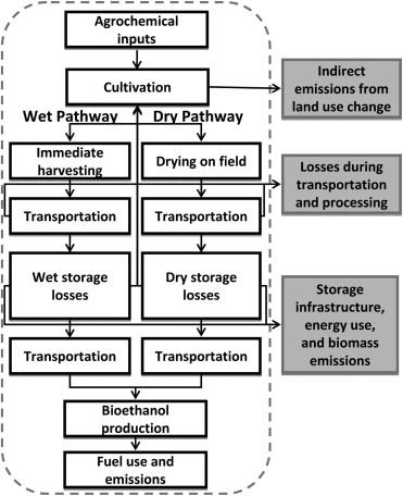 Figure 1-3. Flow diagram of the implications of wet and dry pathways on storage losses and biomass production. From [97].