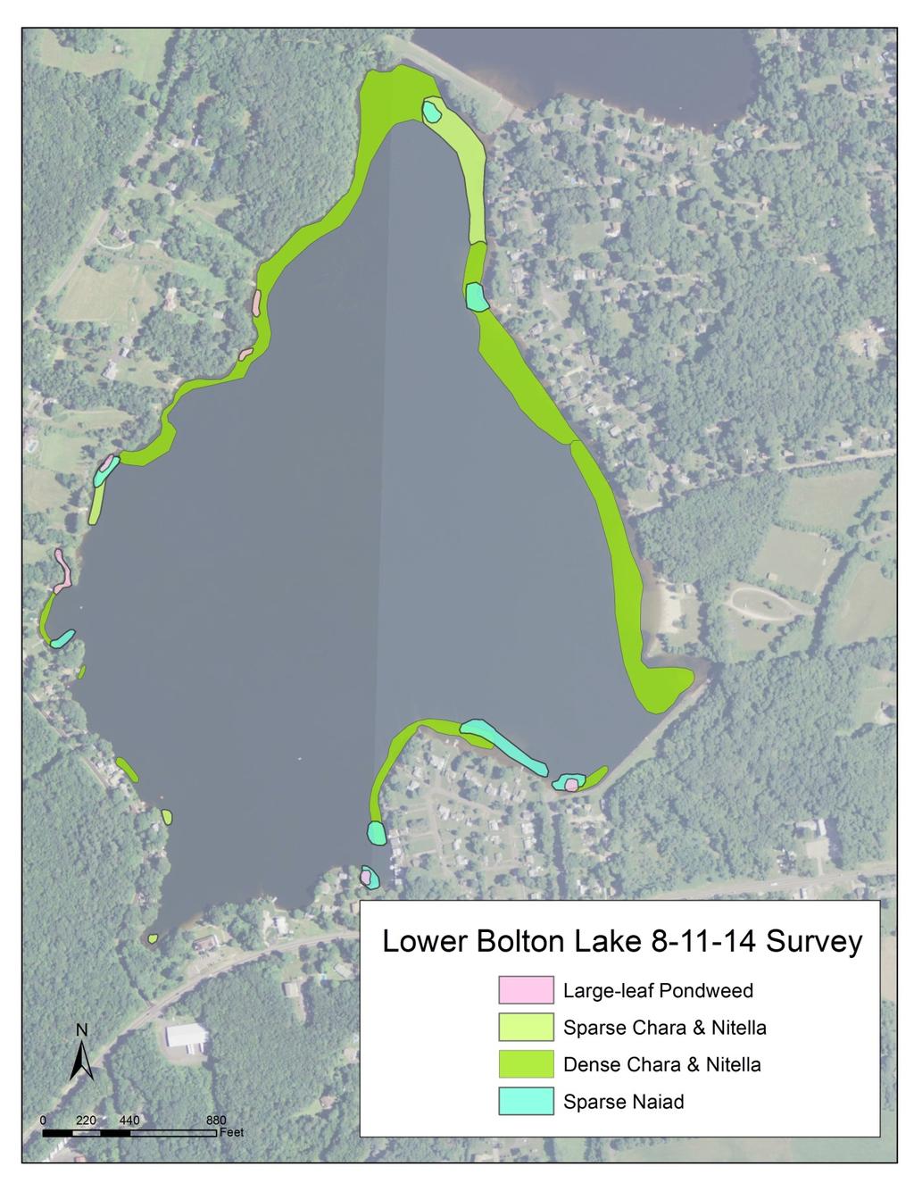 Aquatic plant 214 survey results Very little southern naiad in the lake note blue areas on the map.