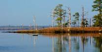 We work toward a Chesapeake Bay watershed with abundant forests and