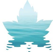 Water, water everywhere Misperception that Canada has an abundance of water Stresses on