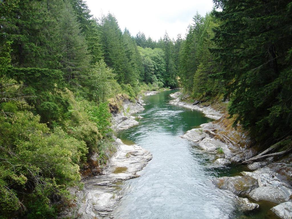 The Cowichan River could run bone dry before the end of the month if rain doesn t start falling by the bucketful, raising