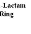 has β lactam ring fused to