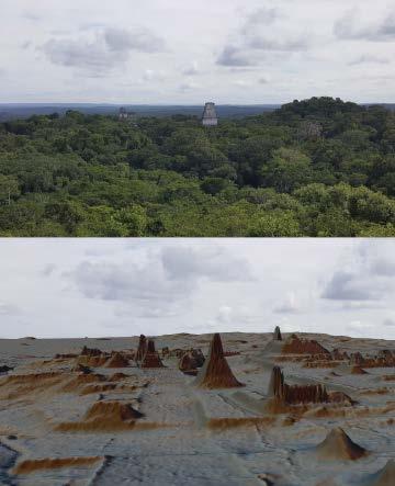 Credit: Luke Auld- Thomas/ PACUNAM (Top) A photo of the Maya lowland city of Tikal seen from above the trees, coupled with (bottom) an image of the same view with the vegetation stripped away.