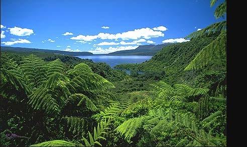Key facts: Water allocation in New Zealand Abundant freshwater but not always where & when