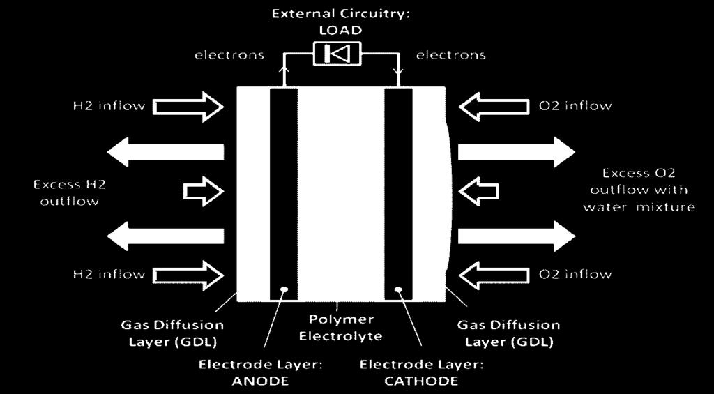 The formation of water and the internal resistance of the electrical circuit generate heat as another byproduct.