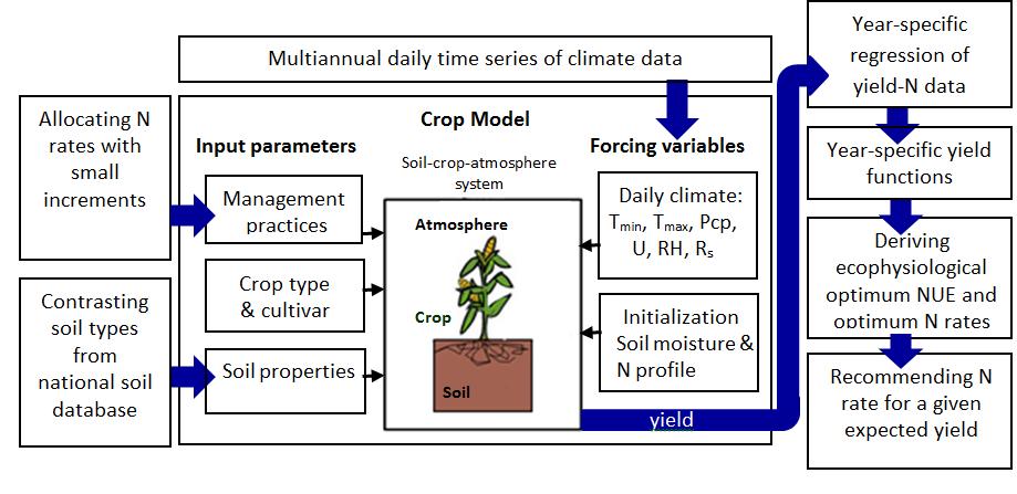 Components of the proposed methodology To identify the ecophysiological N opt, a methodology was proposed using a crop model, long time series of climatic data, soil datasets, and a new proposed