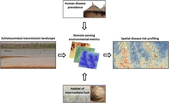 Risk profiling of schistosomiasis using remote sensing Yvonne Walz et al