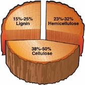 40 % cellulose 26 % hemicellulose 25 % lignin Hemicellulose and Cellulose SEKAB focus Acid / Enzymes Scaling up and