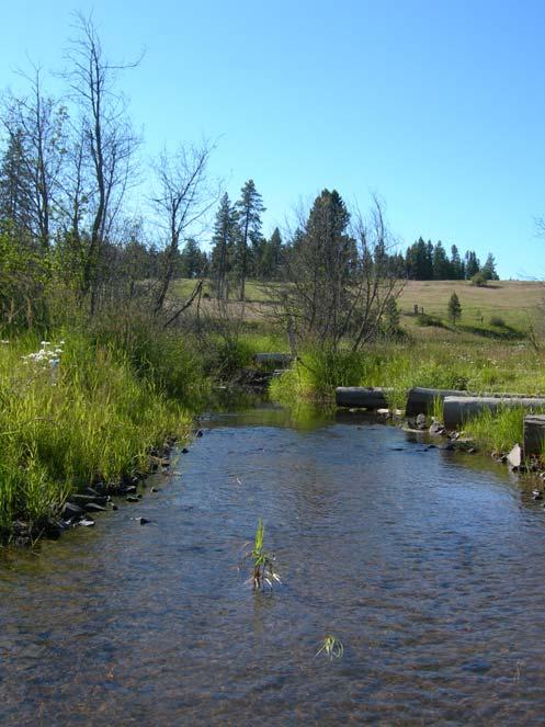 Benewah Creek Splash Dam, Logging, and Grazing Physical stream degradation Non-native native brook trout (S.