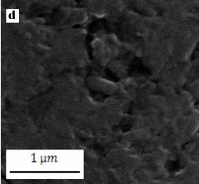 Result and discussion The SEM analysis images for two kinds of coatings on the copper tube are