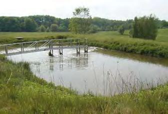 4.1. Extensive wastewater treatment systems Wastewater treatment in ponds or lagoons has been a well- known technology for centuries in Europe.