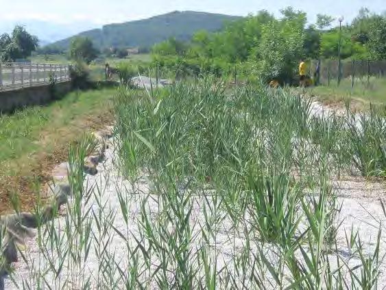 Examples for sanitation and wastewater treatment in rural areas On- site modern dry sanitation and greywater treatment, Sulitsa, Bulgaria In Sulitsa, Bulgaria, there is a community centre where