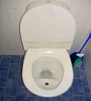 1. Health and hygiene: includes the risk of exposure to pathogens and hazardous substances that could affect public health at all points of the sanitation system from the toilet (via the collection