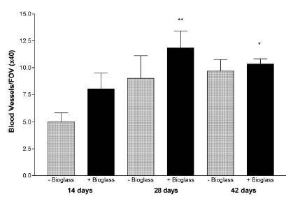 VEGF secretion in presence of Bioglass R. Day et al.