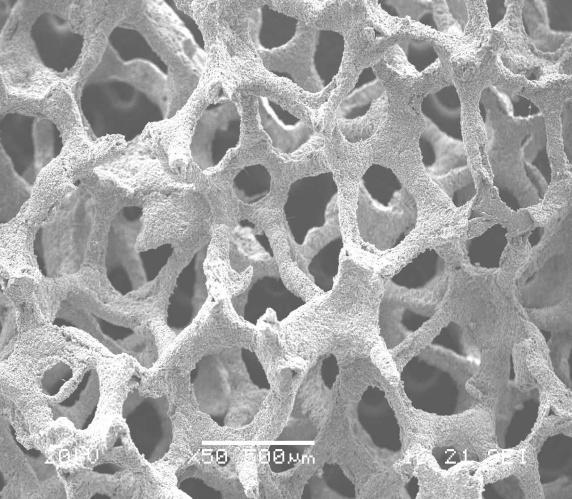 (Nano-)structuring 3D scaffold surfaces Pore Polymer phase Pore Conductive magnetic