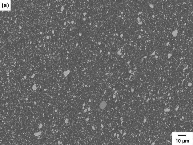 PAPER TITLE nanometer size particles within the aluminum grains (Fig. 3a). As shown in Fig. 3b, these intragranular particles are interacted with dislocations.