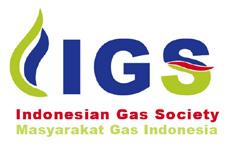specialists Gas producers, transporters and distributors Major engineering and technology manufacturers and contractors Gas infrastructure and pipeline equipment manufacturers and suppliers,