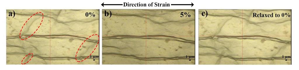 S2. Wrinkle relaxation under strain Figure S2.(a), (b), and (c) Optical images of rgo film on PDMS substrate for strain values of 0 %, 5 % and then released back to 0 % respectively.