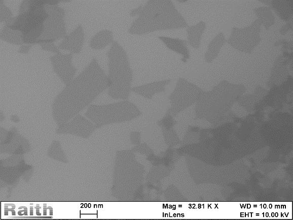 SEM image of GO with (a) bigger flake size