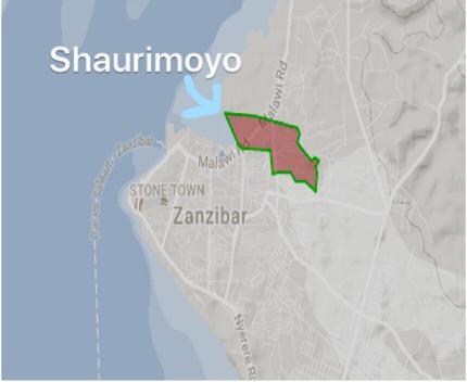 Brief profile of Shaurimoyo, Zanzibar Population of Shaurimoyo: 5800, 626 HH Population of 200 HHs: 1000-1500 Why small sample