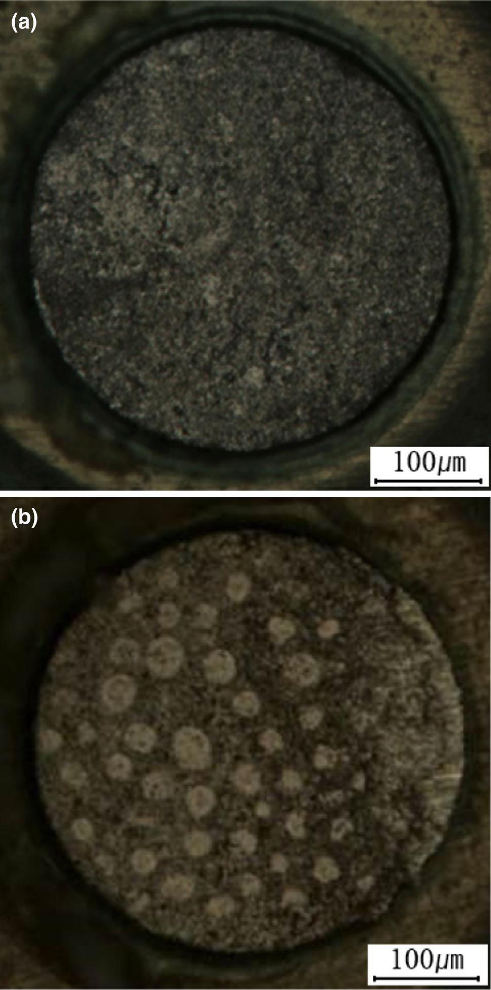 4460 Seo, K.-H. Kim, Bang, M.-S. Kim, and Yoo Fig. 6. Optical micrographs of the fracture surface after the HSS test for the (a) 0 MTO and (b) 3 MTO samples.