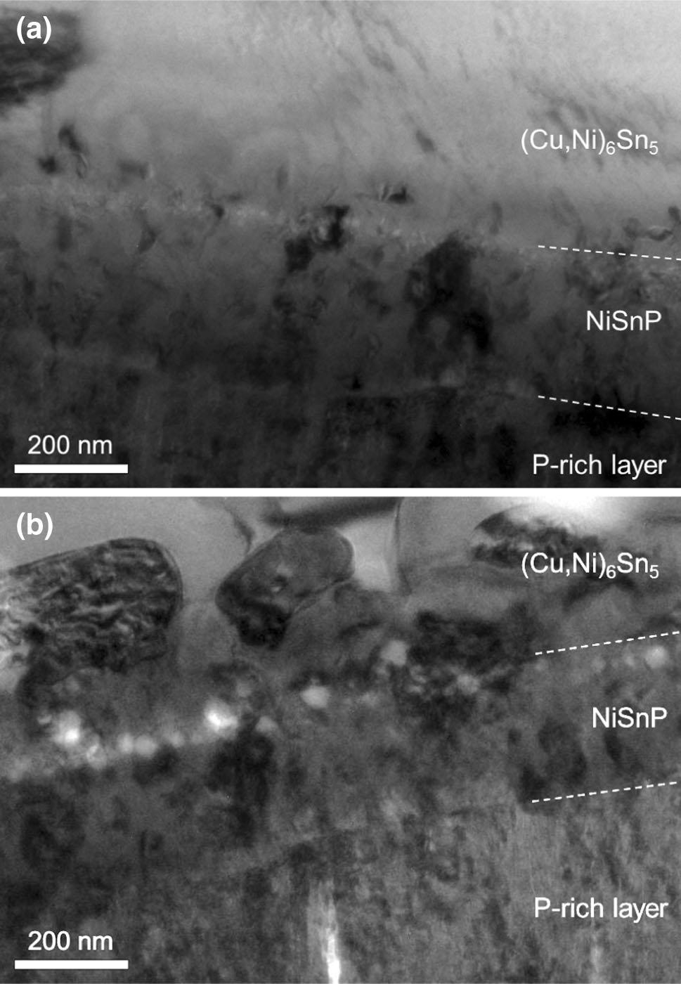 In summary, fracture of the 0 MTO sample occurred in (Cu,Ni) 6 Sn 5 and Ni-Sn-P and fracture of the 3 MTO sample occurred in the P-rich layer as well as in the (Cu,Ni) 6 Sn 5 and the Ni-Sn-P layer.