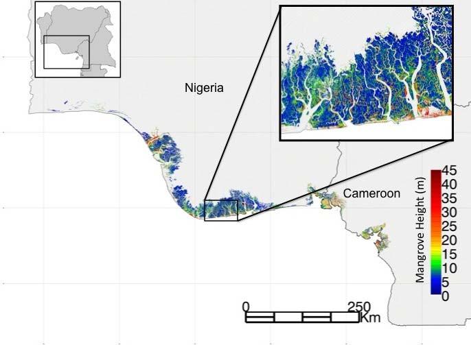 Site Plot data Ground Truth Data Field Photos High Res SAR 30m Height and Biomass for 2000 Gulf of