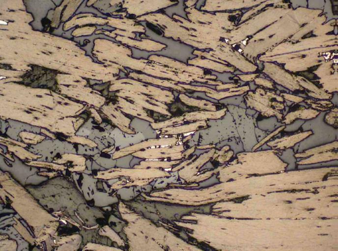 Figure 4 View of section of BMDD0007 under the microscope. The bronze coloured mineral shown is graphite. Gangue minerals shown are mostly quartz and calcite.